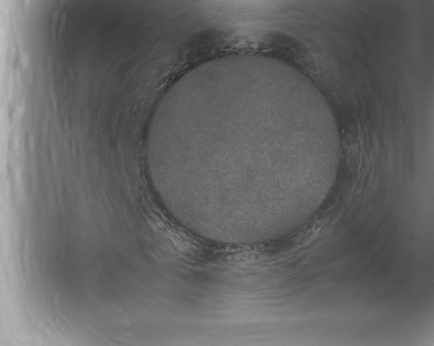 X0000062650769200512281646