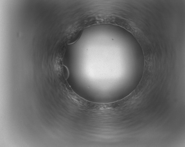 X0000062650770200512281646