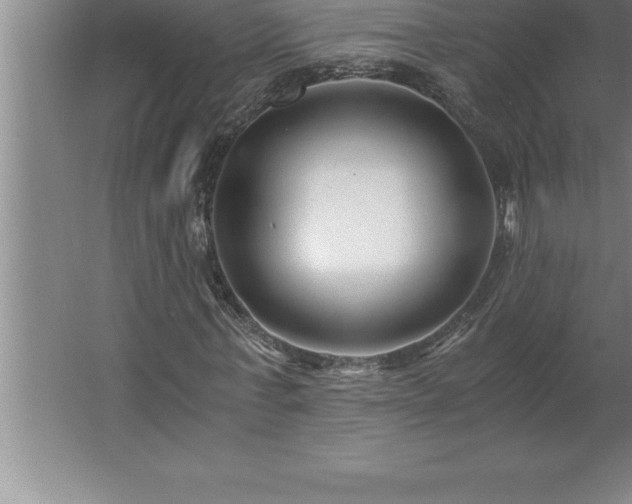 X0000062650771200512281646