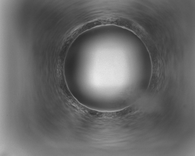 X0000062650773200512281646