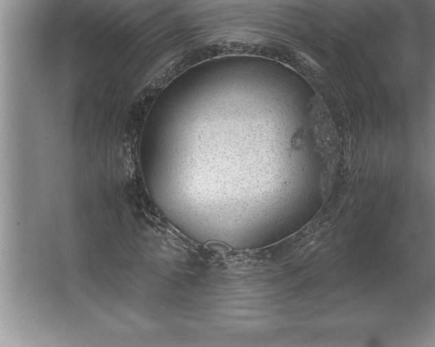 X0000062650774200512281646