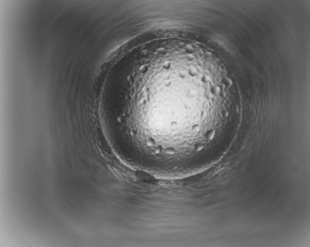 X0000062650775200512281646