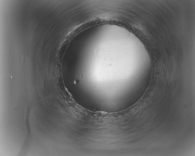 X0000062650776200512281646