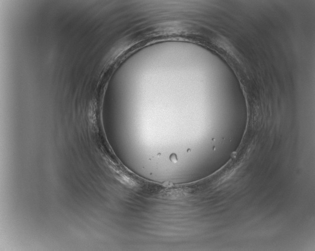 X0000062650778200512281646