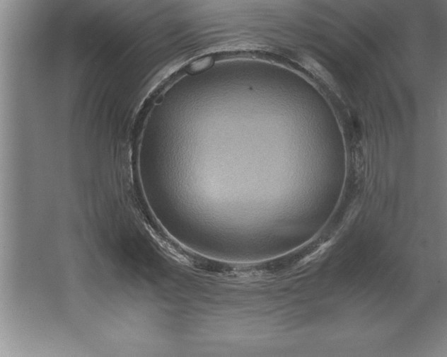 X0000062650781200512281646