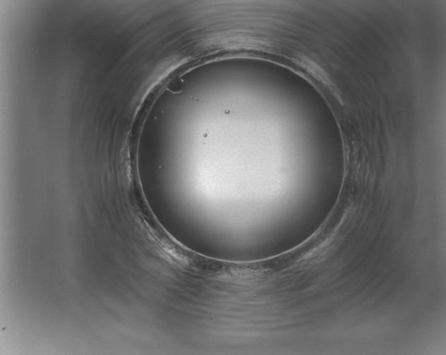 X0000062650782200512281646