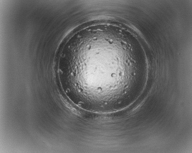 X0000062650783200512281646