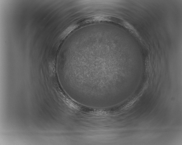 X0000062650785200512281646