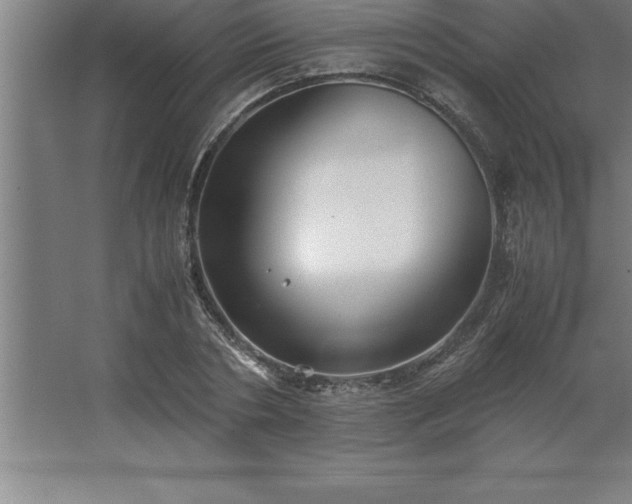 X0000062650786200512281646