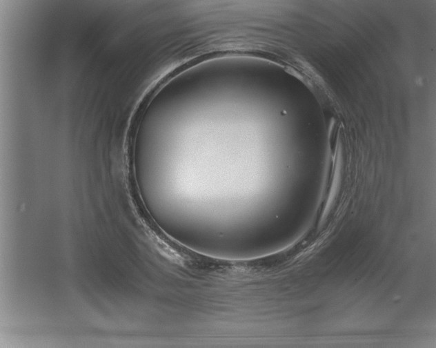 X0000062650787200512281646