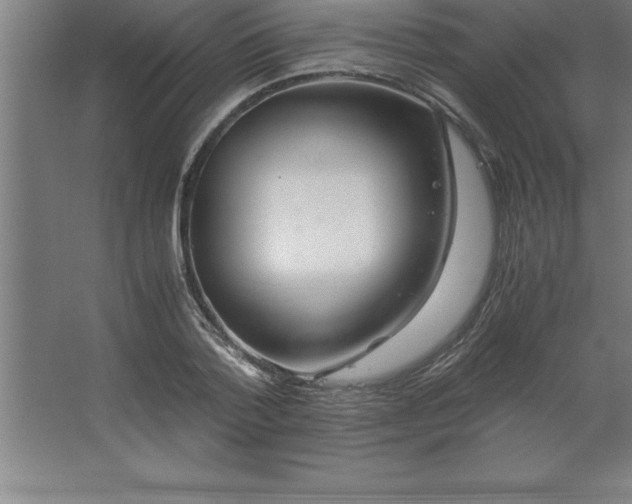 X0000062650788200512281646