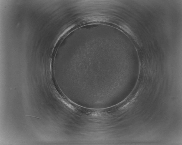 X0000062650790200512281646