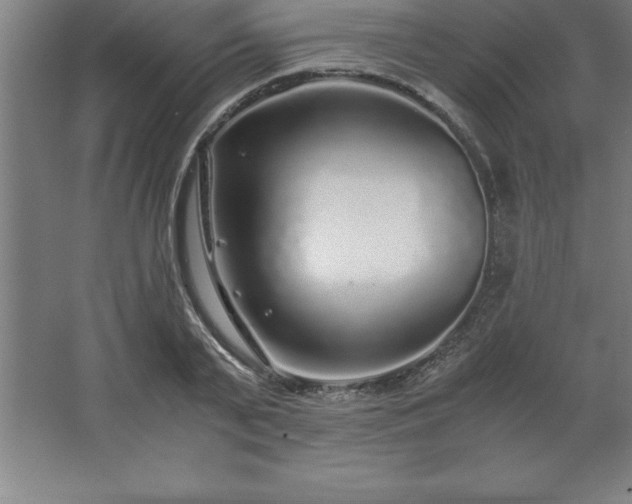 X0000062650791200512281646