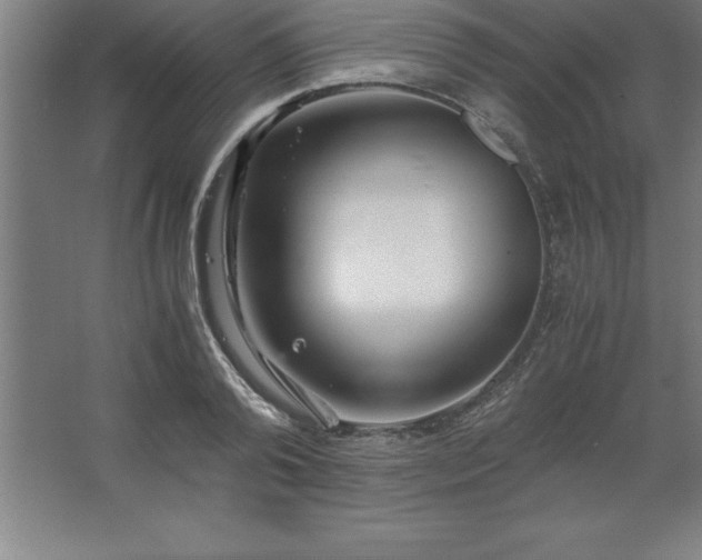 X0000062650792200512281646