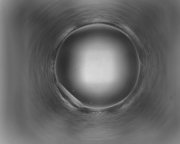 X0000062650793200512281646