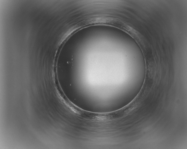 X0000062650794200512281646