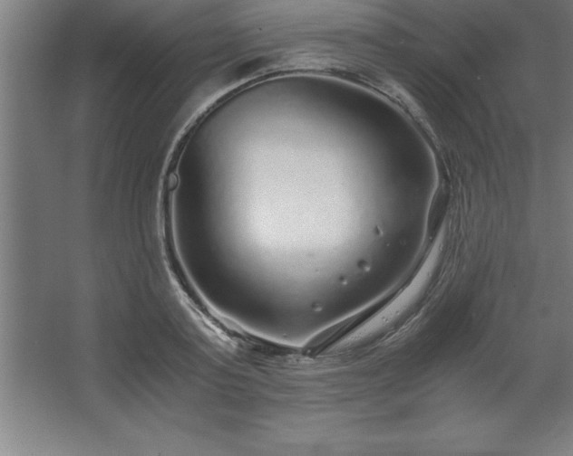 X0000062650795200512281646