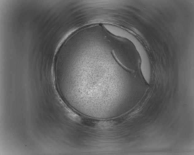 X0000062650796200512281646