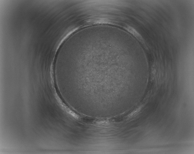 X0000062650798200512281646