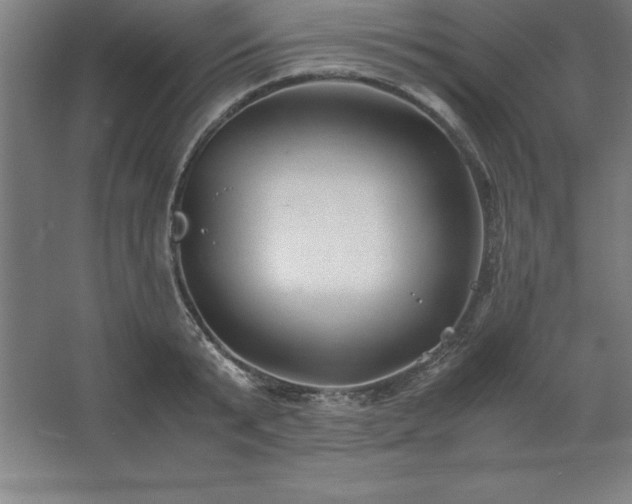 X0000062650799200512281646