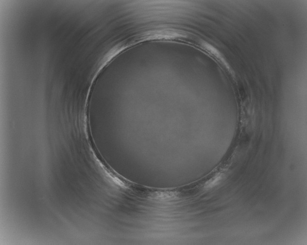 X0000062650802200512281646