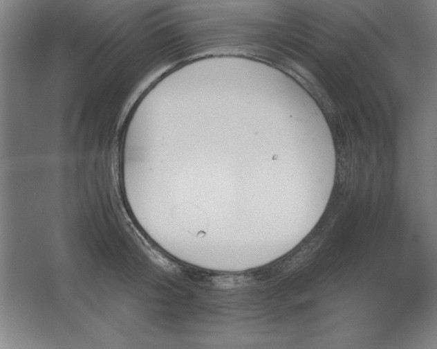 X0000062650804200512281646