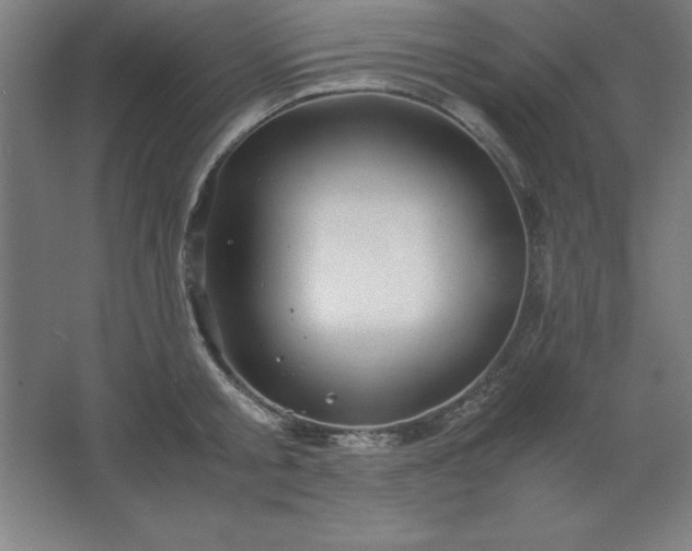 X0000062650805200512281645