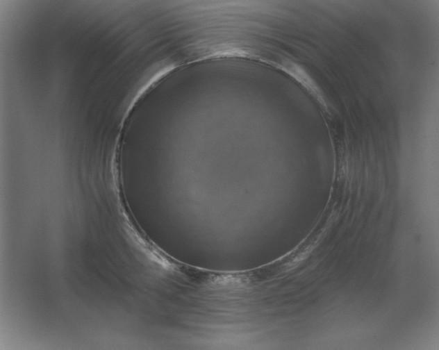 X0000062650806200512281645