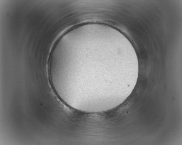 X0000062650807200512281645