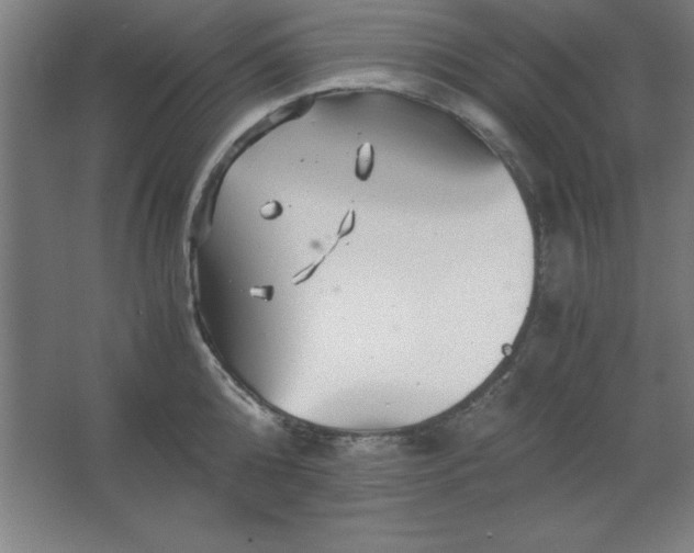 X0000062650808200512281645