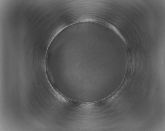 X0000062650810200512281645