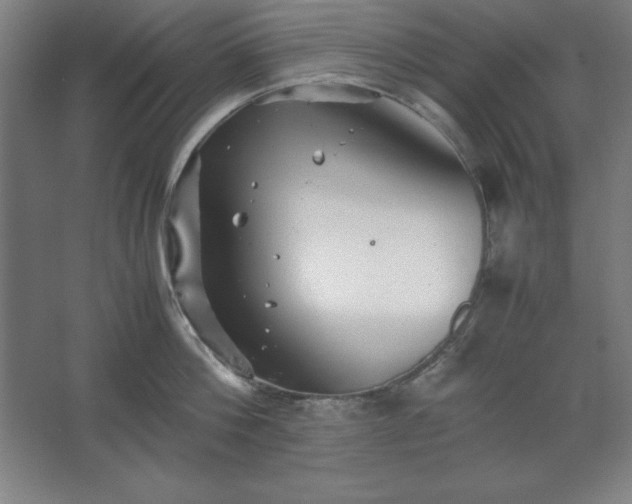 X0000062650812200512281645