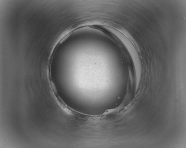 X0000062650813200512281645