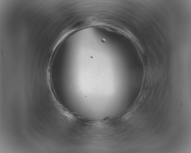 X0000062650814200512281645