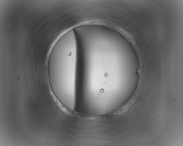 X0000062650816200512281645