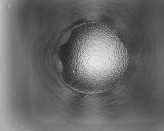 X0000062650817200512281644