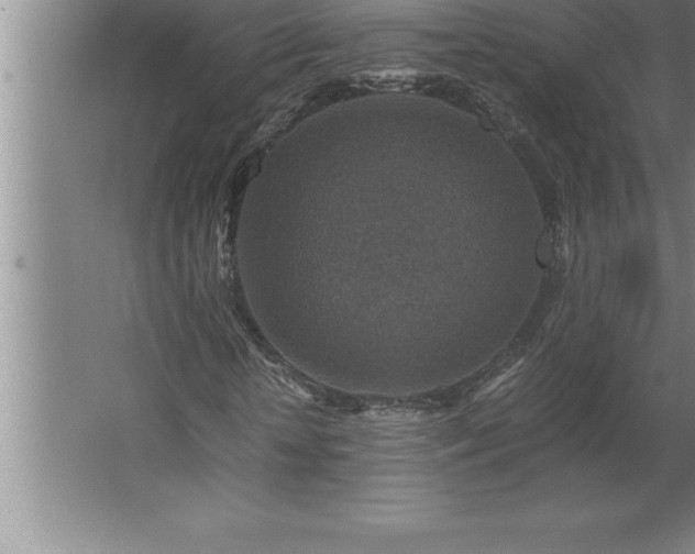 X0000062650818200512281645