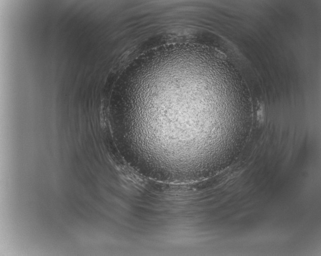 X0000062650819200512281645