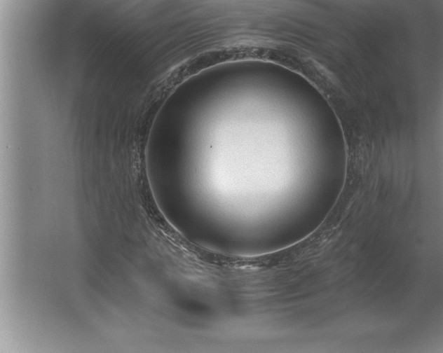 X0000062650821200512281645