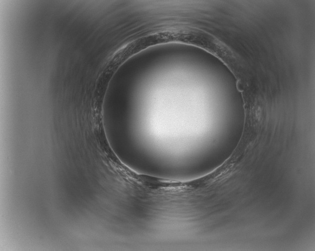 X0000062650822200512281645