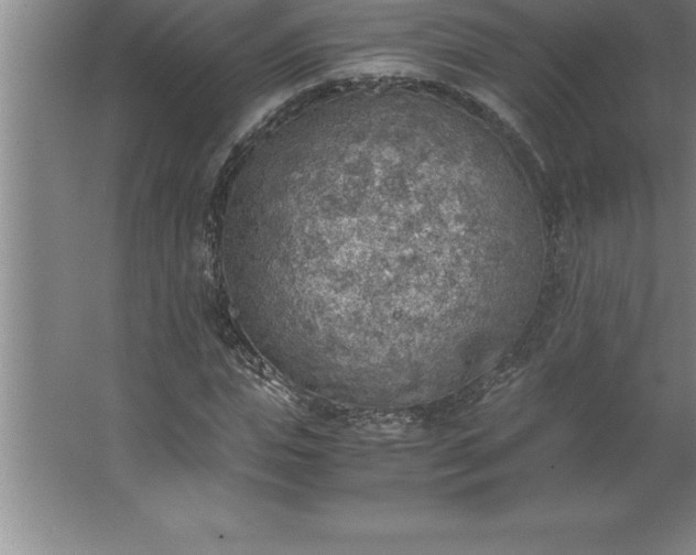 X0000062650823200512281645