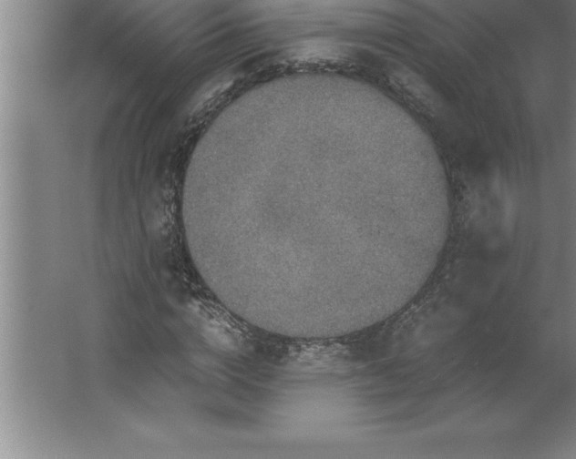 X0000062650824200512281645