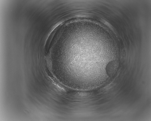 X0000062650829200512281645