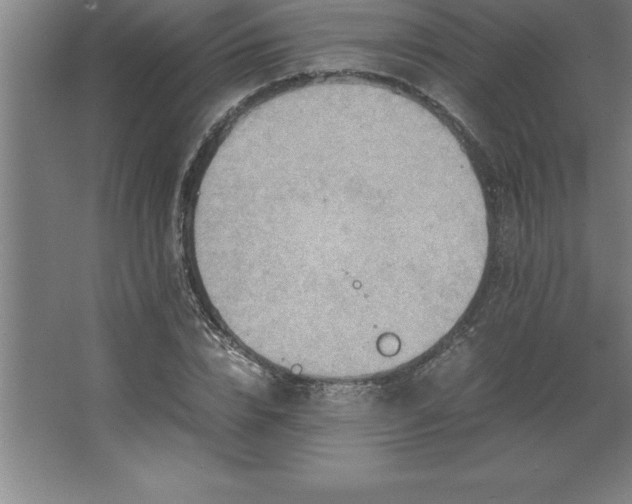 X0000062650832200512281645