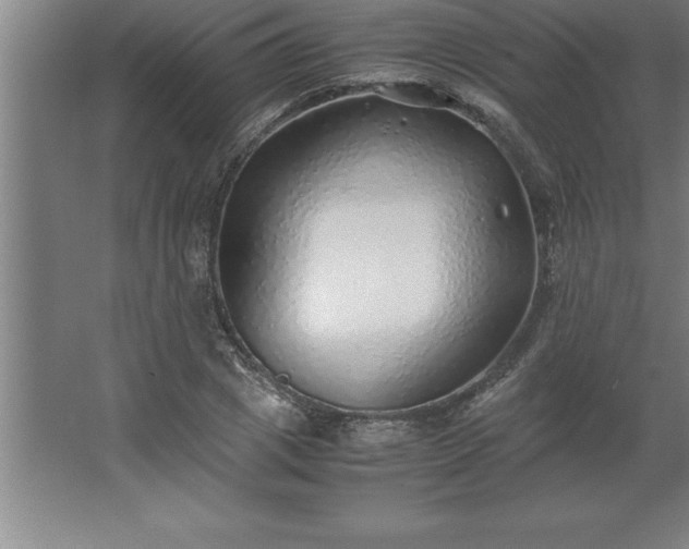 X0000062650833200512281645