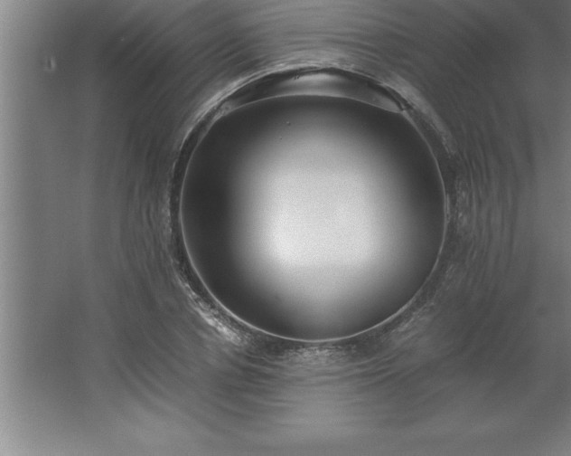 X0000062650834200512281645