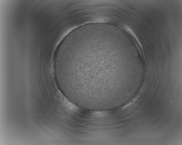 X0000062650835200512281645