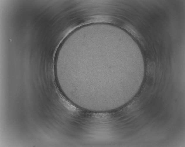 X0000062650836200512281645