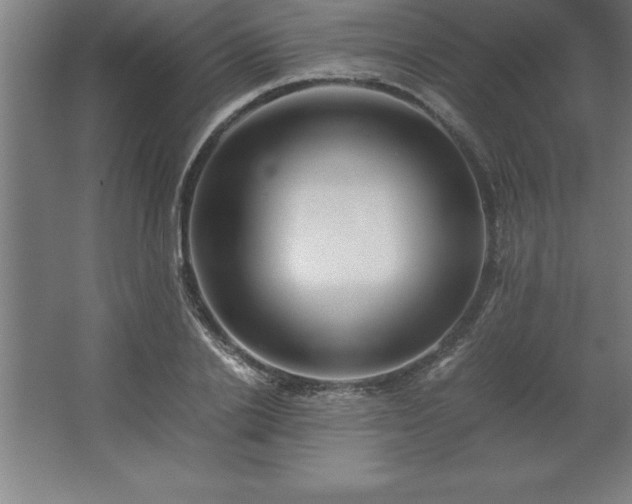 X0000062650838200512281645