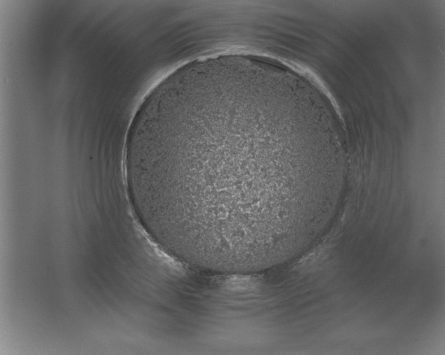 X0000062650839200512281645